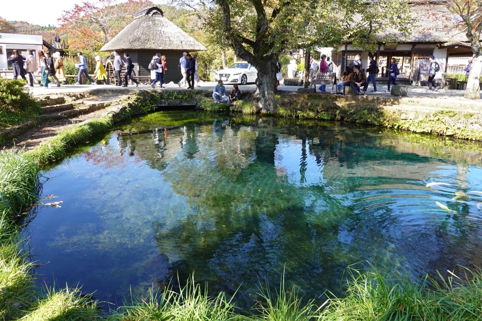 忍野八海 湧池（わく池）的透明池水 — 水質清澈見底的富士伏流湧泉