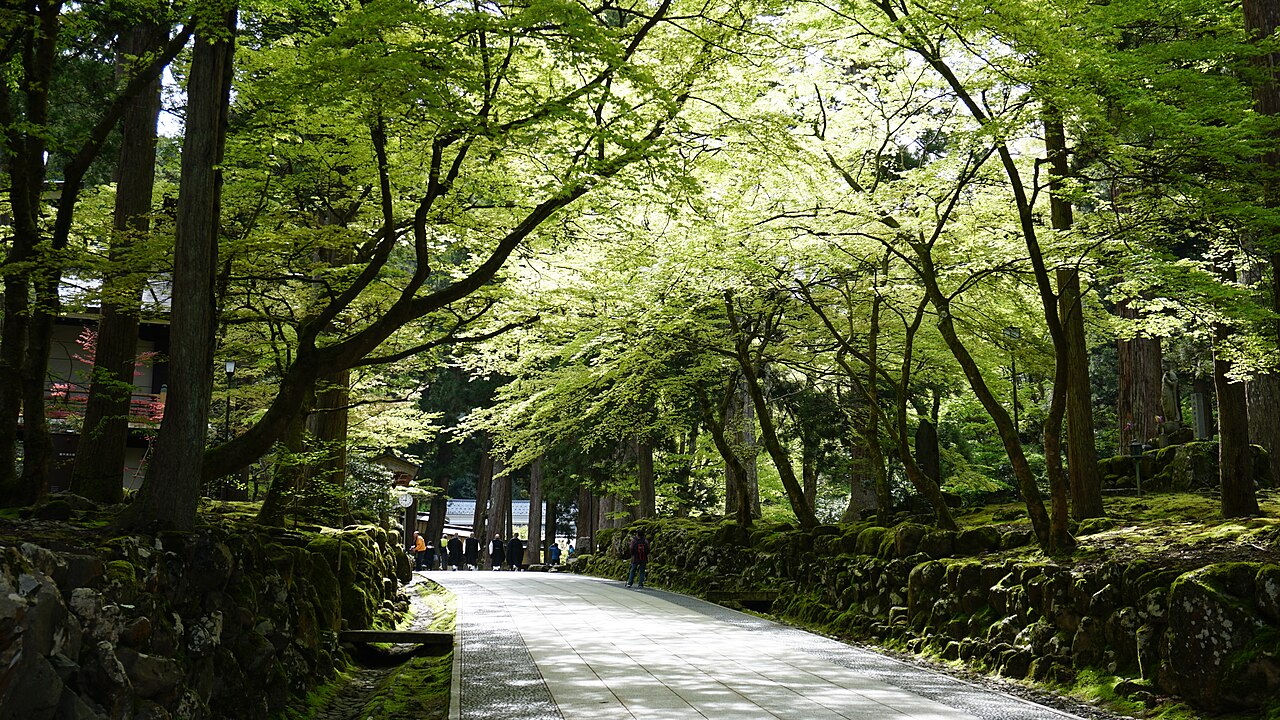 永平寺參道入口，杉木林立的禪宗大本山參拜道