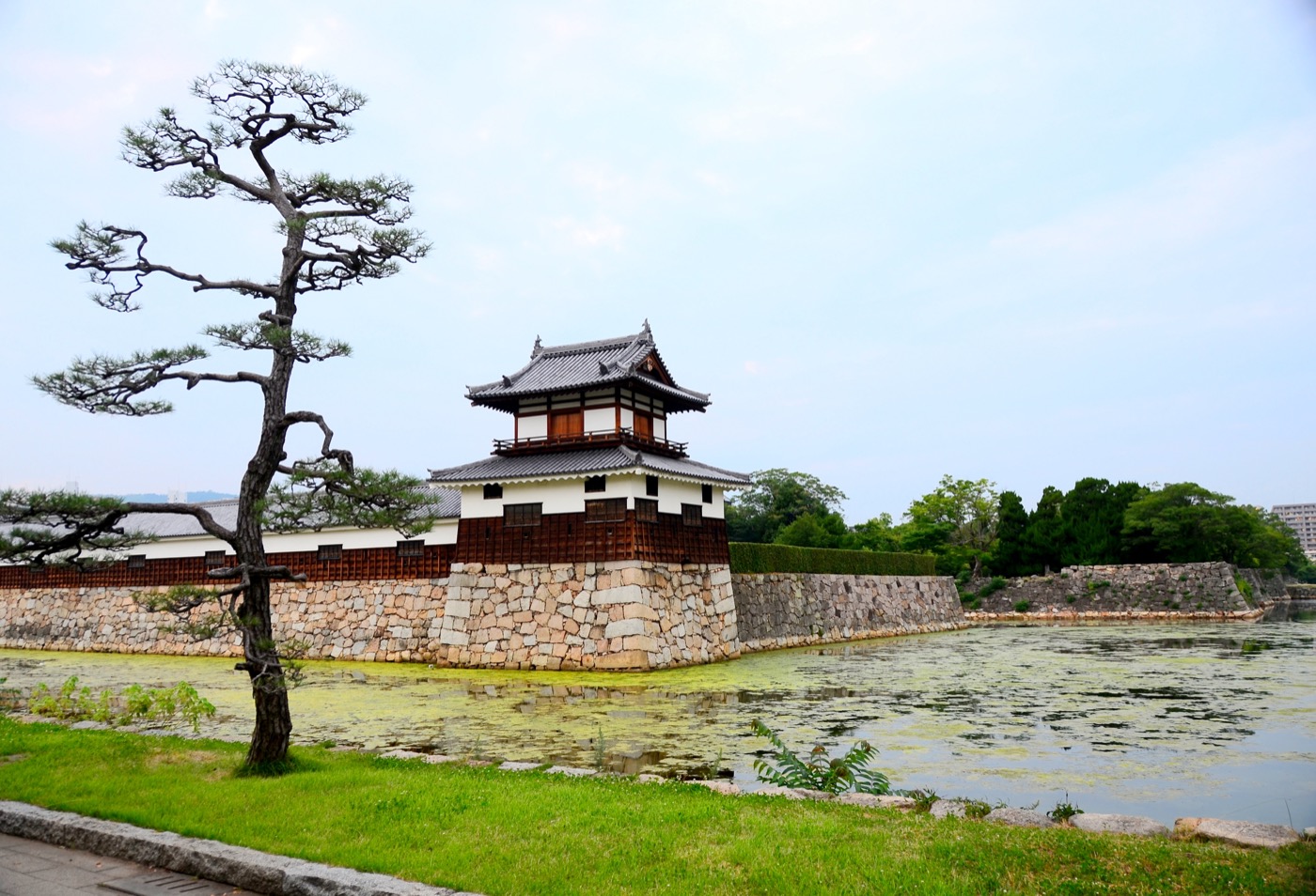 廣島城天守 — 原天守毀於原爆、1958 年依原樣重建的城堡