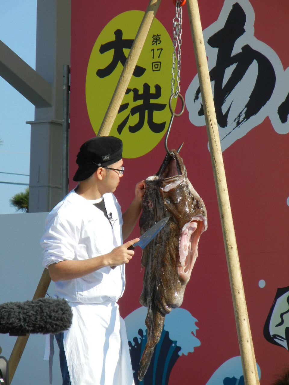 大洗祭安康魚吊切り解體示範，茨城縣冬季代表海鮮料理