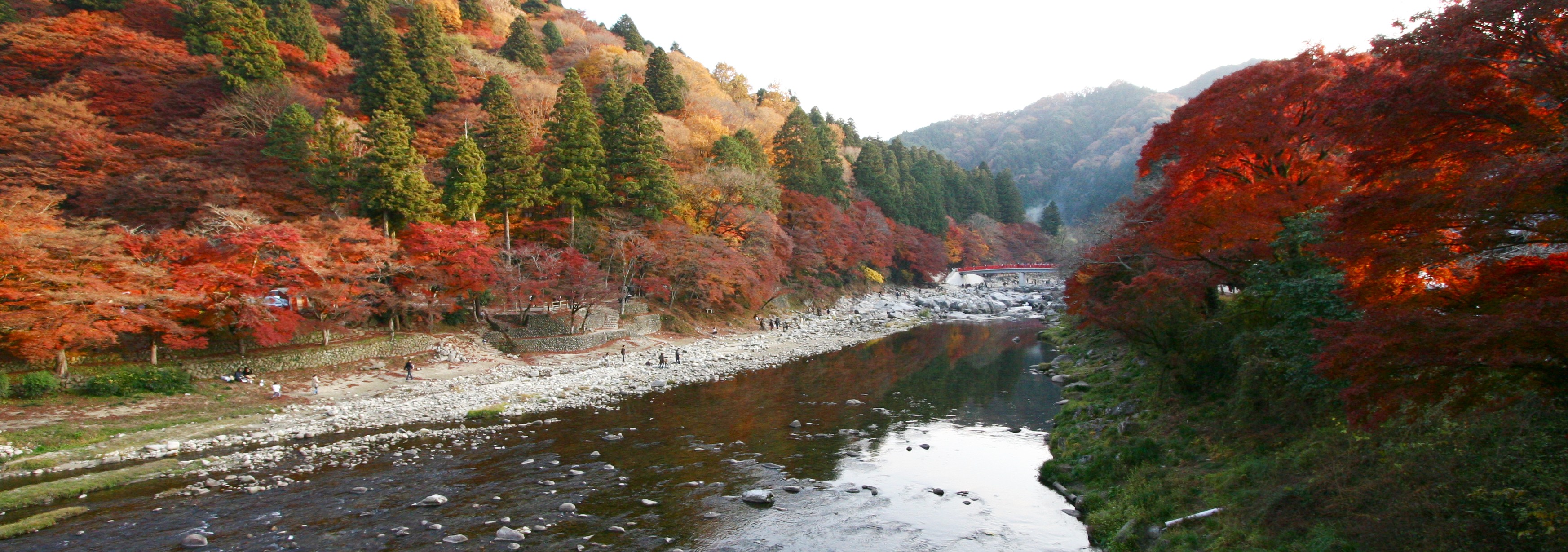 香嵐溪 紅葉 — 愛知縣豐田市足助町、約 4,000 棵楓樹的絕景