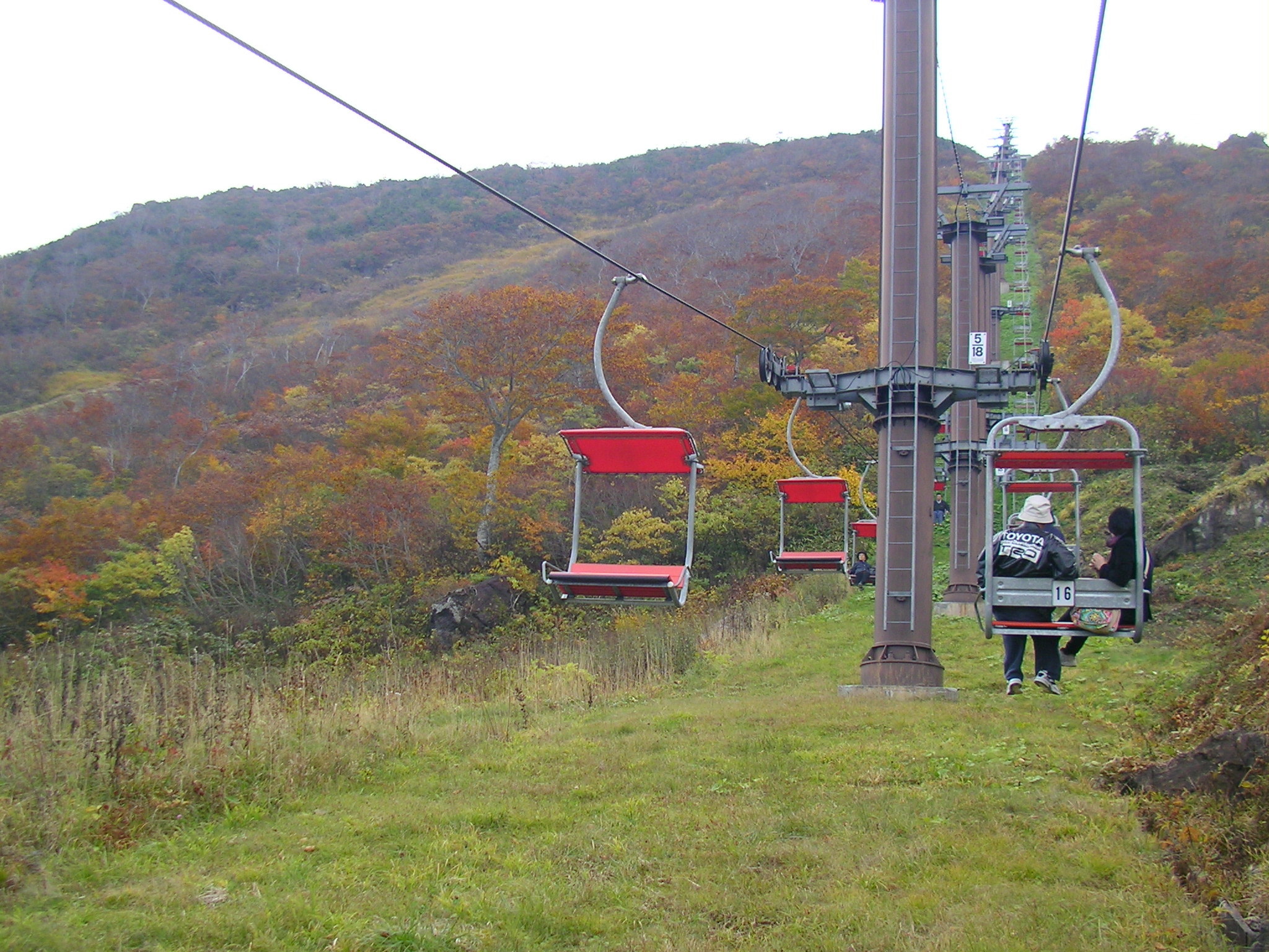 谷川岳 天神平的紅葉 — Walker Plus 2026 全國第 1 名、空中纜車眺望的「3 段紅葉」