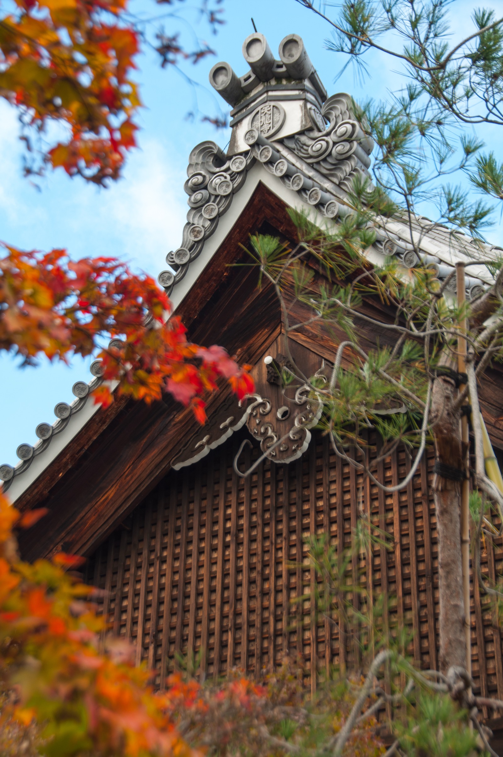 京都 嵐山 天龍寺 伽藍與紅葉 — 世界遺產、曹源池庭園的紅葉名所