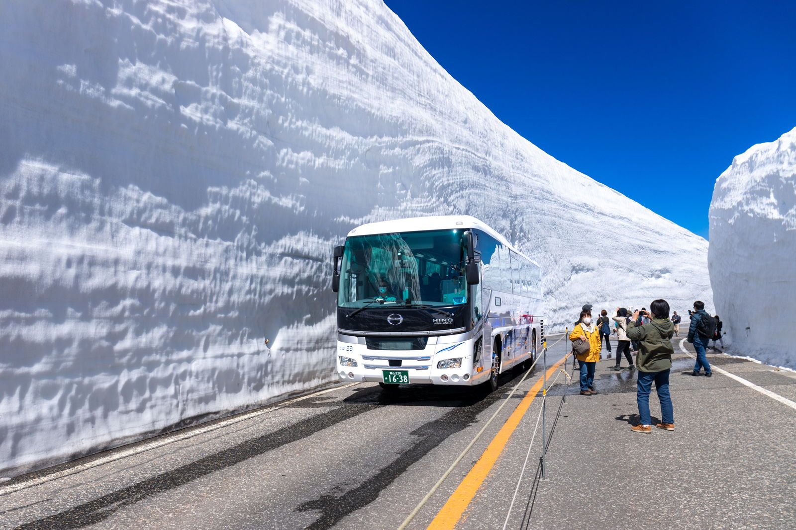 立山黑部 雪の大谷 — 春季 20m 雪壁的神級絕景