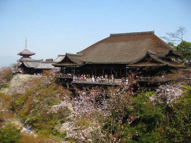 京都清水寺與盛開的櫻花，世界遺產的賞櫻名所