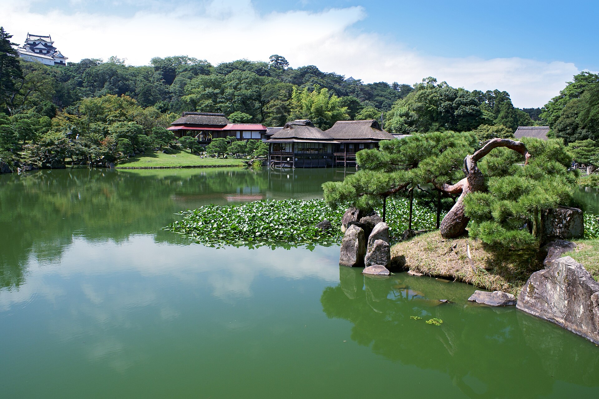 彥根城的大名庭園「玄宮園」 — 池泉迴遊式庭園，左上方山頂可見彥根城天守