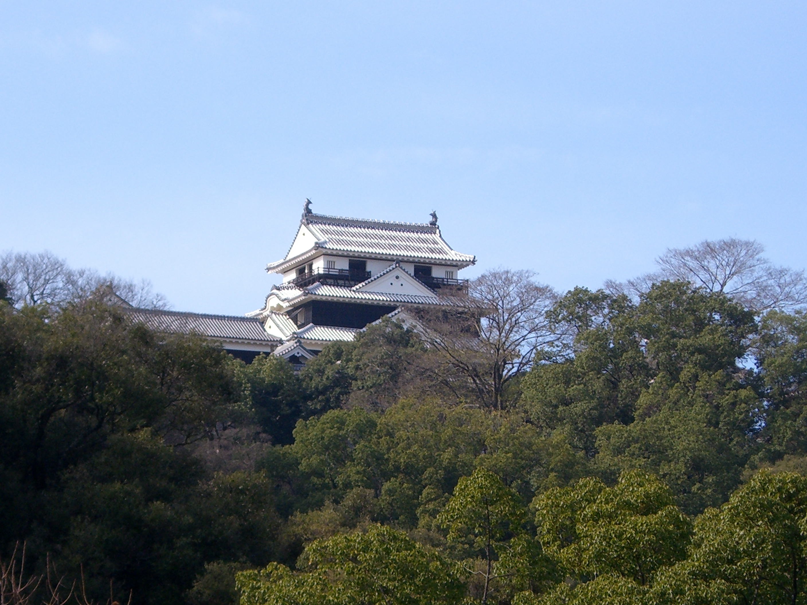 松山城（Matsuyama-jo）天守 — 蓋在勝山山頂、需搭纜車上山的現存天守