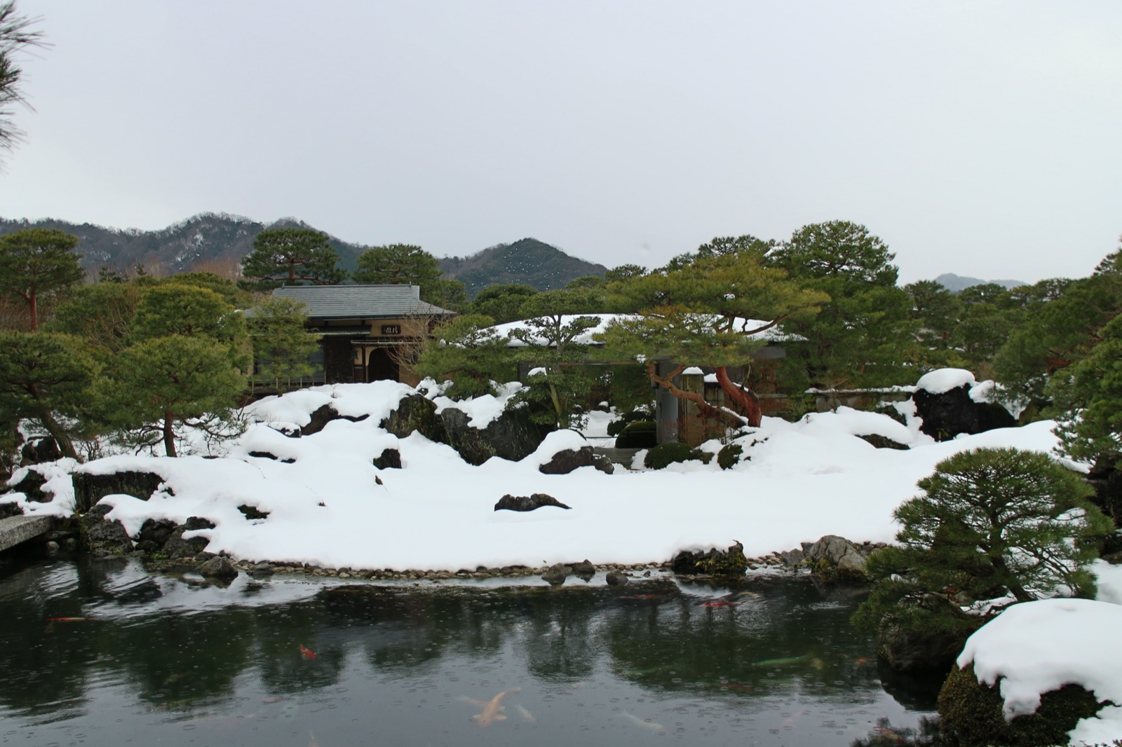 足立美術館 庭園 — 島根縣安來市，連續 23 年日本第一的枯山水與池庭借景