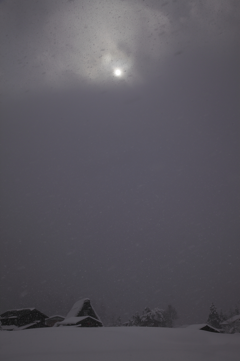 白川鄉合掌造村 — UNESCO 世界遺產、冬季雪景與夜間燈光秀的秘境