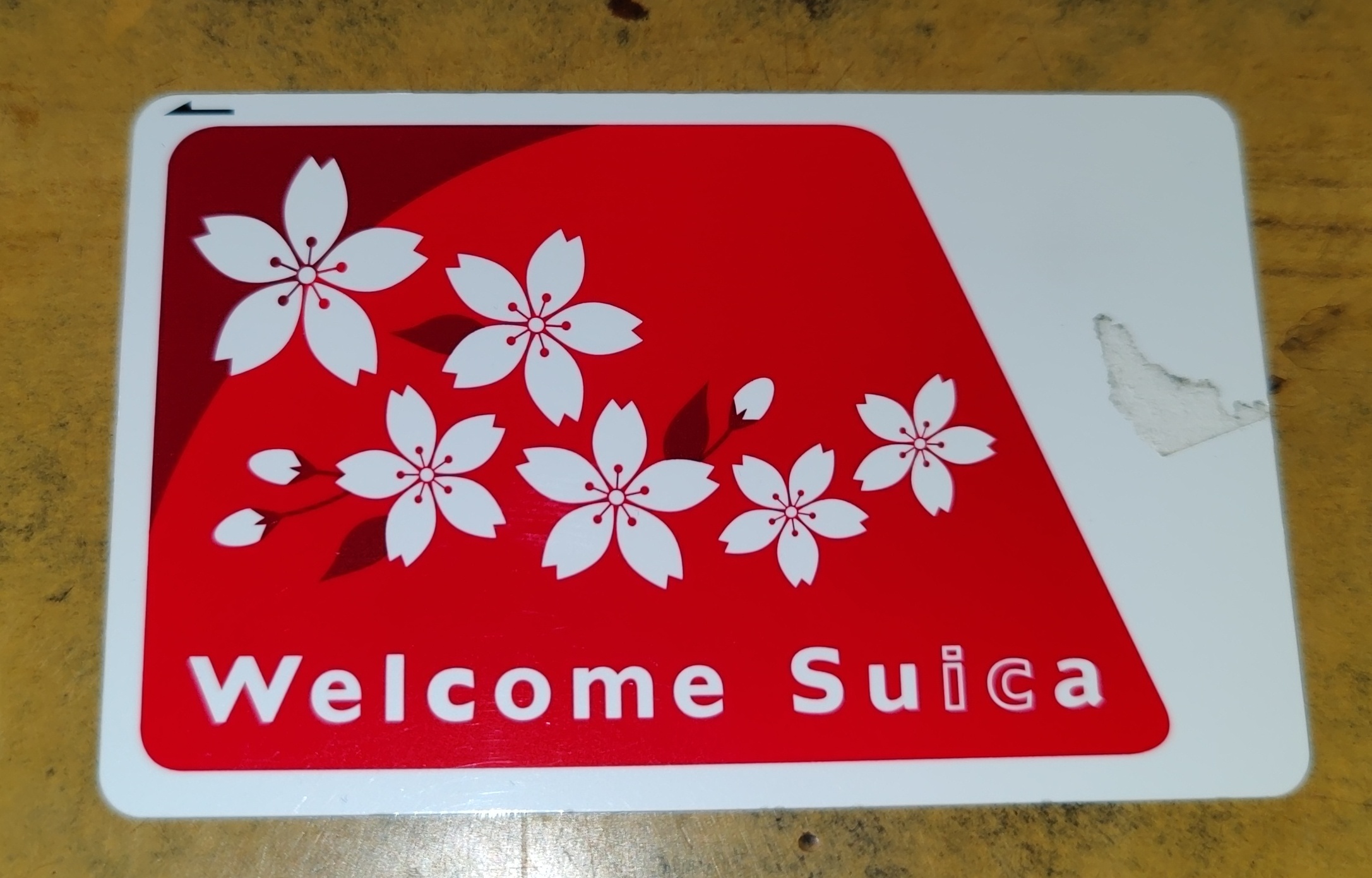 JR 東日本針對訪日旅客推出的 Welcome Suica 訪日專用卡外觀