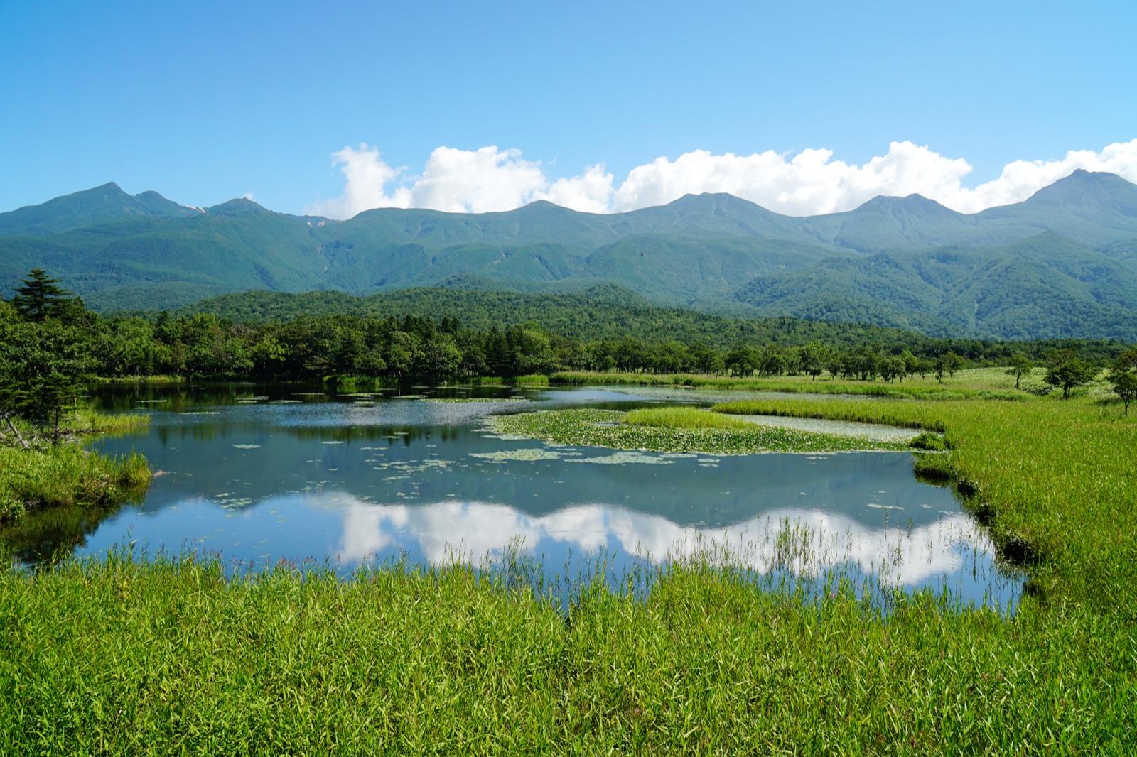 北海道 知床五湖與背後的知床連山 —— 日本面積最大的世界自然遺產，登錄區域約 71,100 公頃
