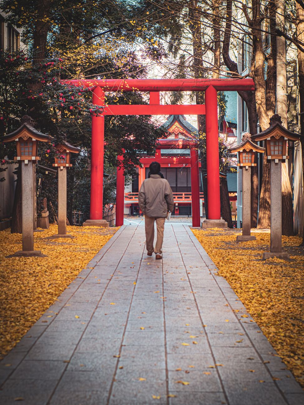 霧島神宮參道，紅色鳥居與石燈籠並排，秋天楓葉映照的神聖參道