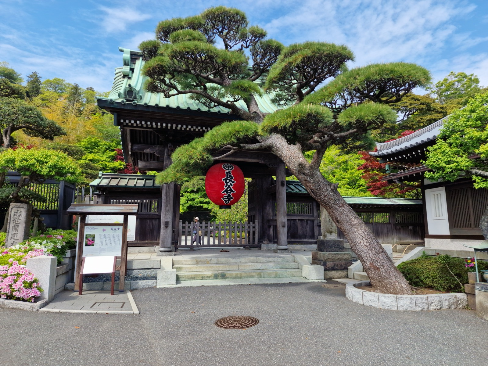 鎌倉長谷寺 本堂與境內 — 繡球花與海景觀音的賞花名所