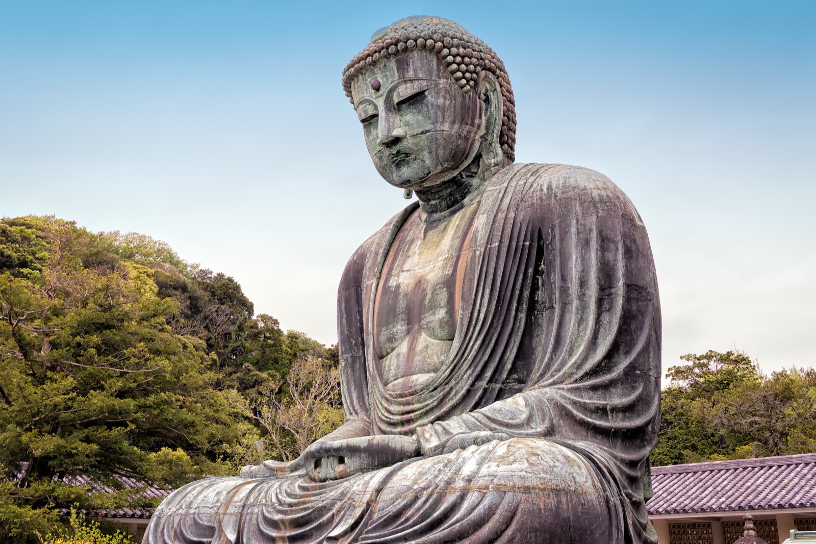 鎌倉大佛（鎌倉大仏殿高徳院）— 高 11.4 公尺的青銅製阿彌陀如來坐像、鎌倉的象徵