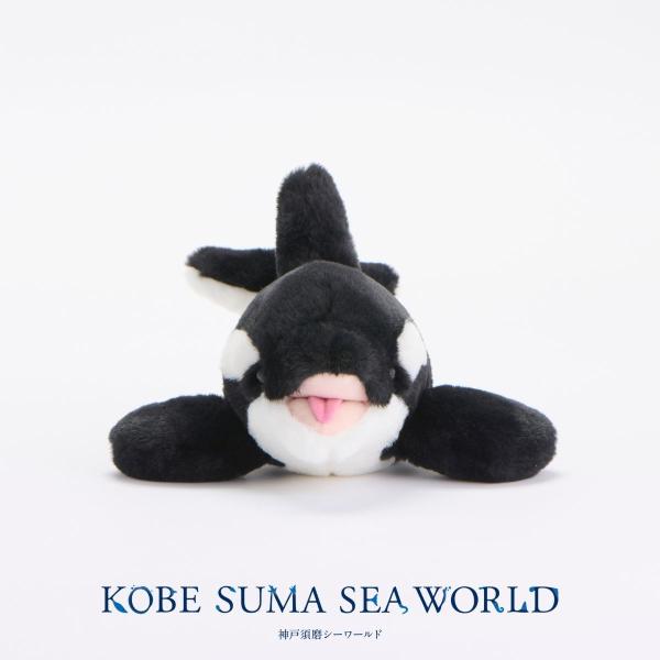 ふわふわシャチ S（fluffy orca S）公式商品画像 — 体長約 33cm 蓬鬆觸感虎鯨玩偶、神戸須磨シーワールド公式オンラインショップ