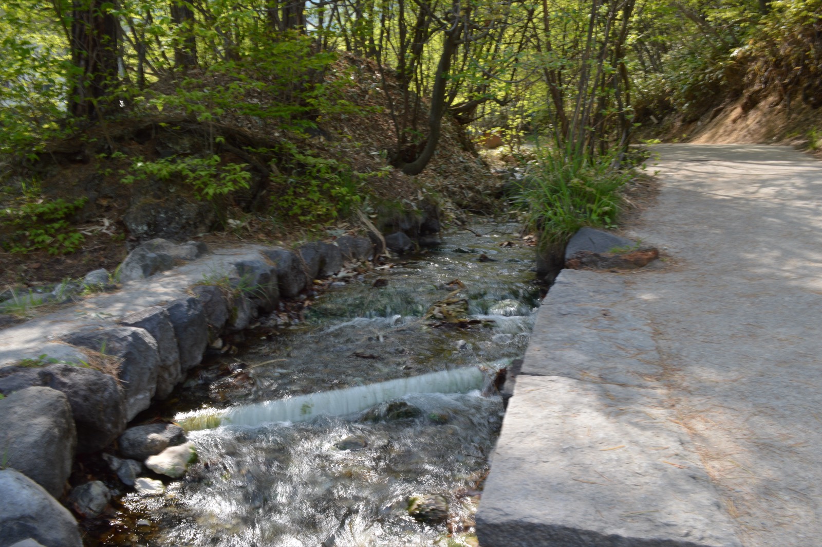草津溫泉 西の河原公園 — 溫泉蒸氣裊裊的溪流與通往超大露天風呂的步道