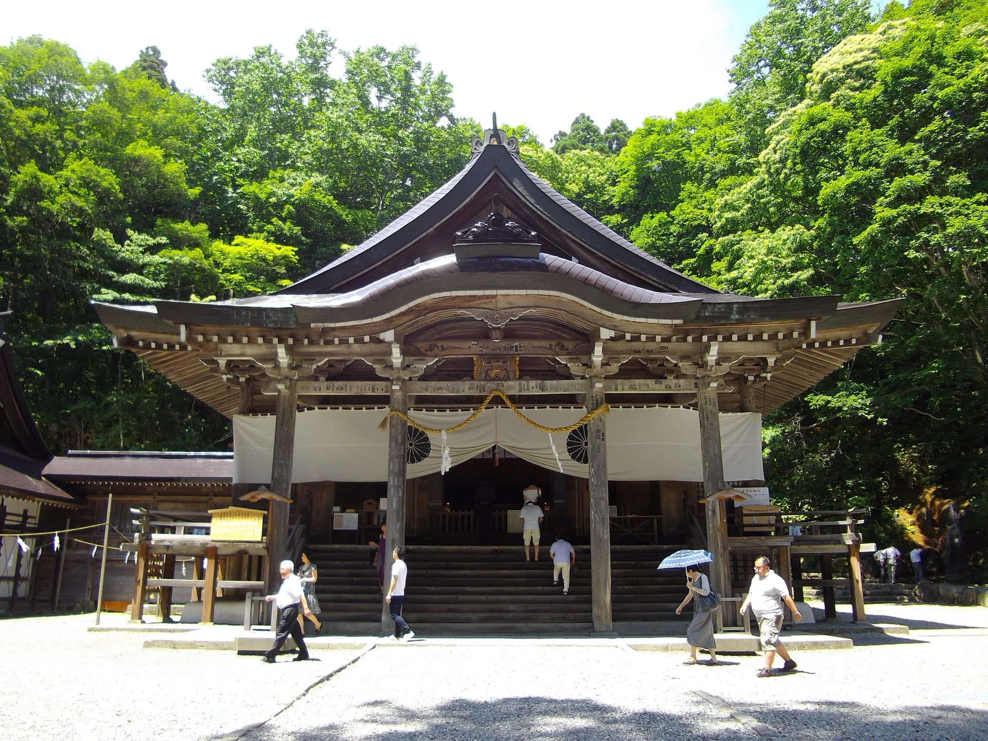 戶隱神社中社，神聖靜謐的社殿在茂密杉林中