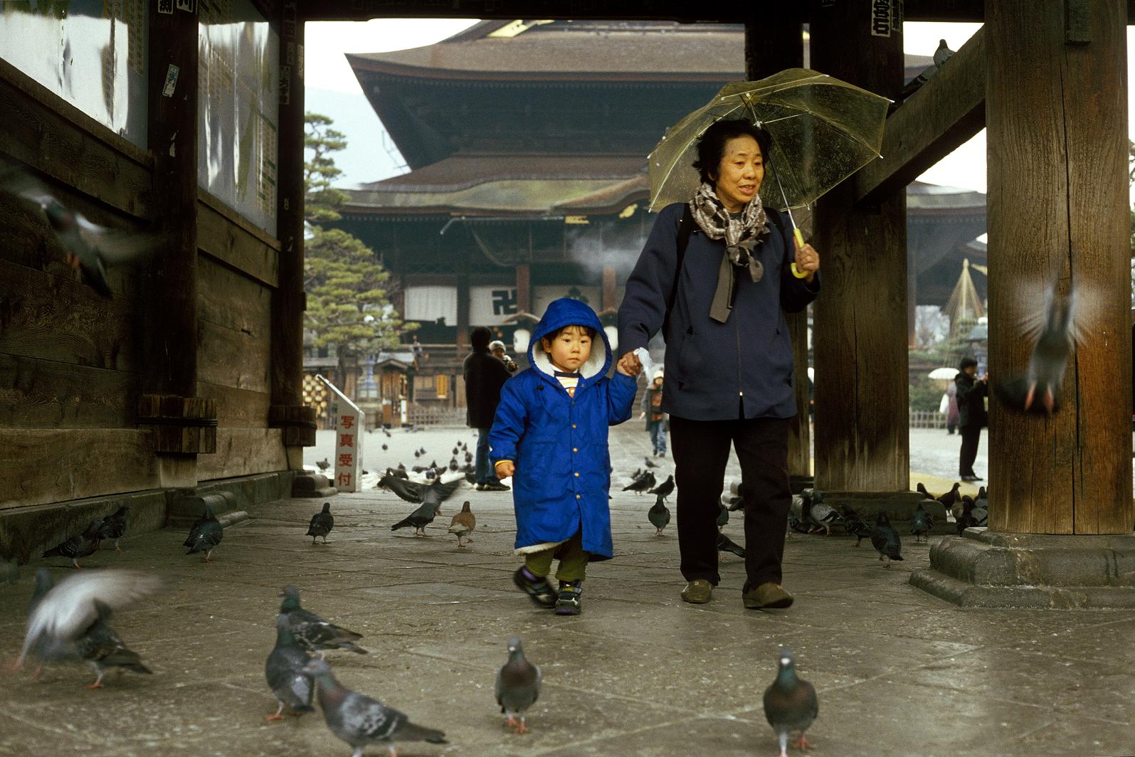 善光寺本堂正面，雨天中的千年古剎莊嚴氣氛