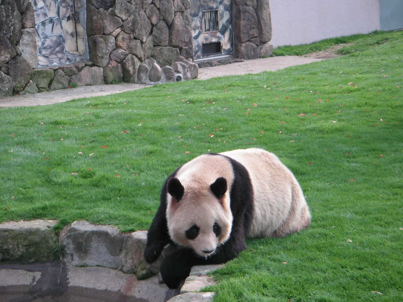 アドベンチャーワールド（白浜），大型動物園及水族館複合施設