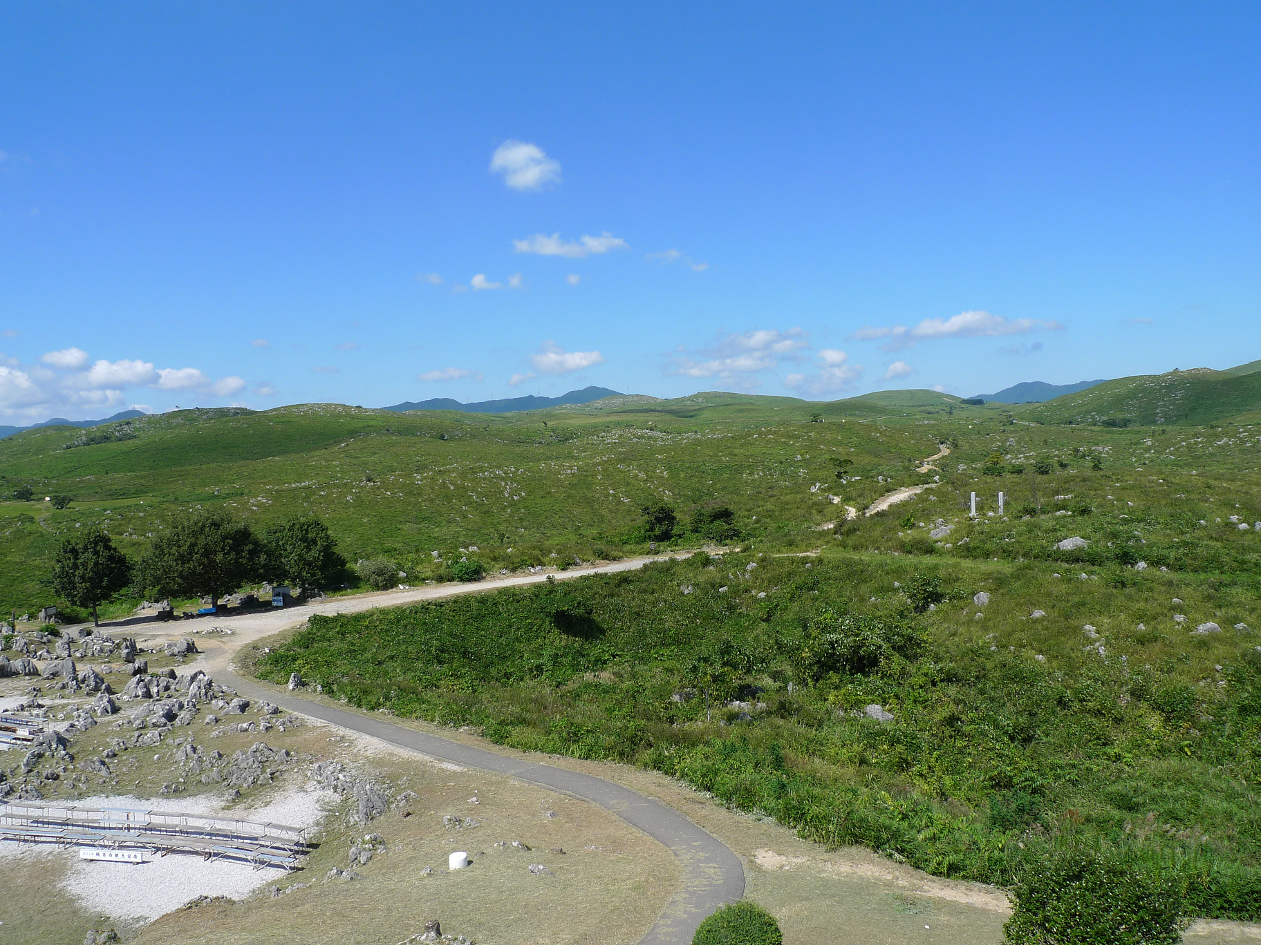 秋吉台喀斯特高原景觀，日本最大石灰岩高原，廣大草原中散布白色石灰岩群